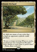 Exotic Orchard #329