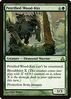 Petrified Wood-Kin #91