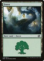 Forest #276