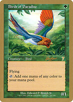 Birds of Paradise #shh231