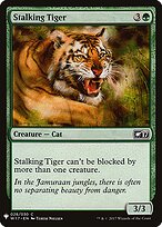 Stalking Tiger #W17-28