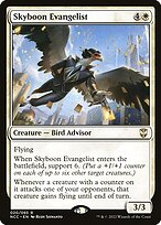 Skyboon Evangelist #20