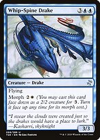 Whip-Spine Drake #99