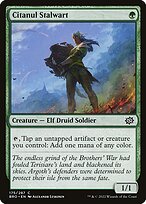 Citanul Stalwart #175