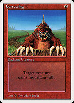 Burrowing #140