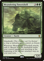 Meandering Towershell #141
