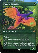 Birds of Paradise #439