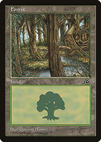 Forest #164