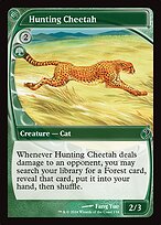 Hunting Cheetah #134