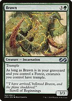 Brawn #160