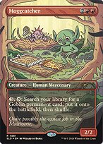 Moggcatcher #7081