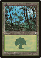 Forest #165