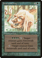 Scarwood Hag #86