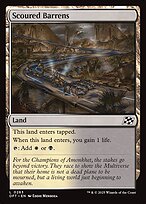 Scoured Barrens #263