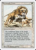 Savannah Lions #39