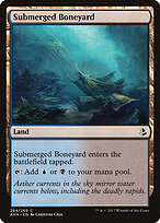 Submerged Boneyard #284
