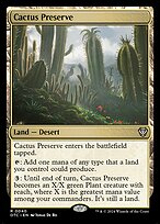 Cactus Preserve #40