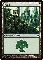 Forest #306