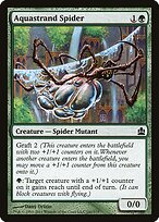 Aquastrand Spider #141