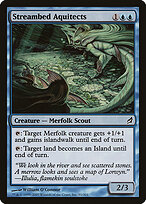 Streambed Aquitects #91