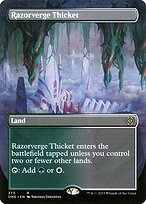Razorverge Thicket #373
