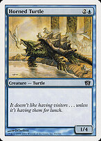 Horned Turtle #83