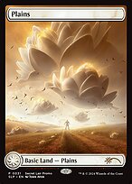 Plains #31