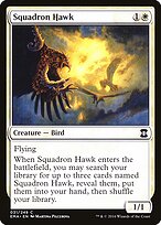 Squadron Hawk #31