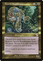 Anurid Brushhopper #137