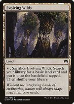 Evolving Wilds #246