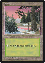 Forest #381
