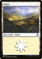 Plains #123