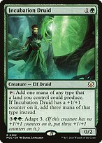 Incubation Druid #302