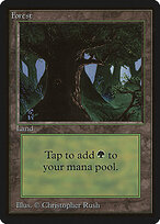 Forest #302