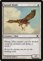Suntail Hawk #50