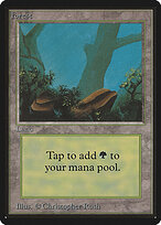 Forest #300