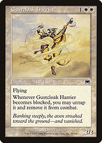 Gustcloak Harrier #34