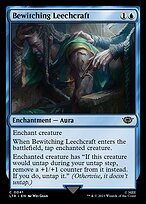 Bewitching Leechcraft #41