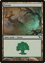Forest #300