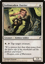 Goldmeadow Harrier #17