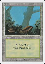 Forest #304