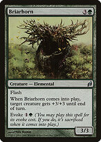 Briarhorn #199