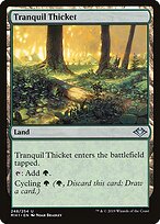 Tranquil Thicket #248
