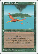 Birds of Paradise #234