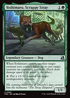 Yoshimaru, Scrappy Stray #269
