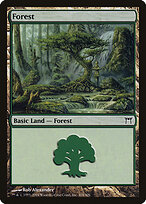 Forest #304