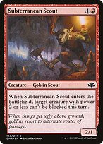 Subterranean Scout #143