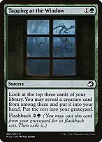 Tapping at the Window #201