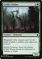 Conifer Strider #DTK-179