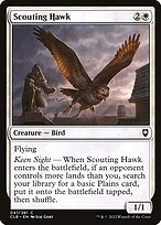 Scouting Hawk #41